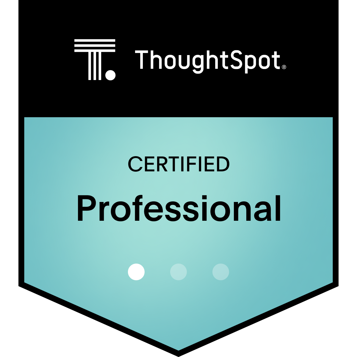 ThoughtSpot Certified Professional